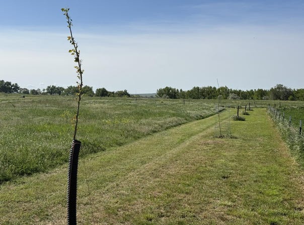 TBD Lot 2 Wild West Place, Belle Fourche, SD 57717