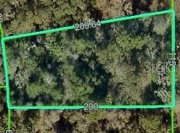 0 CURLEW ROAD, BROOKSVILLE, FL 34614