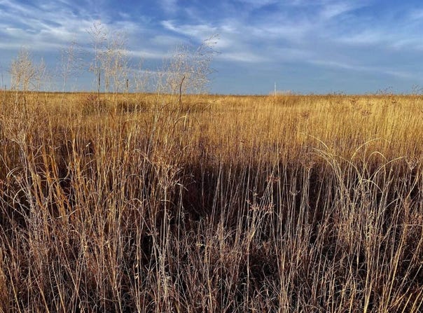 TBD County Road W, Eads, CO 81036