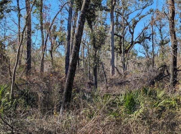 NW FOX RUN TRAIL, MAYO, FL 32066