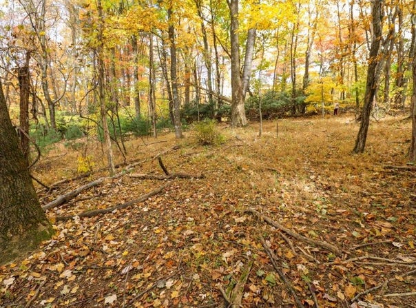 Lot 133 Old Hollow Trail, Fancy Gap, VA 24328