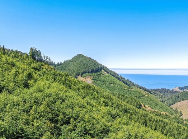 HWY 101, Nehalem, OR 97131