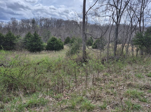 TBD McCasland Rd, Stover, MO 65078
