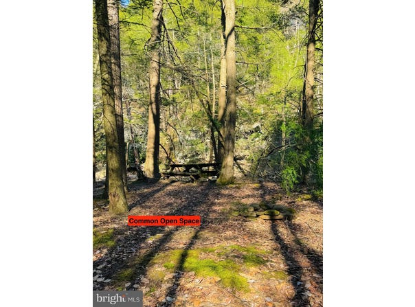 Lot: 37 PARADISE POINT, JAMES CREEK, PA 16657