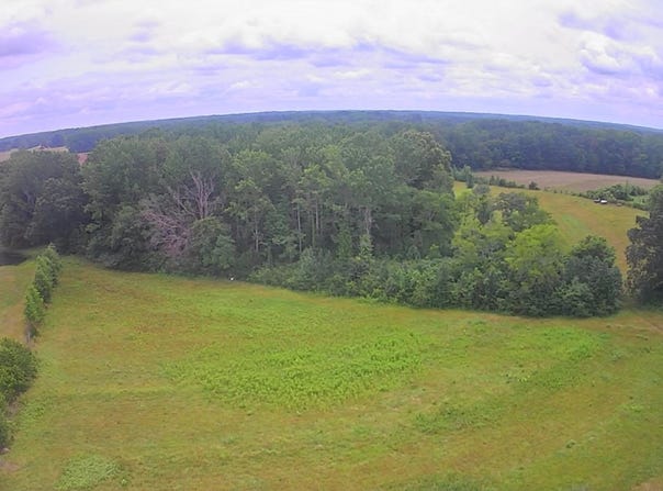 1200 Co Rd 67, Lexington, AL 35648