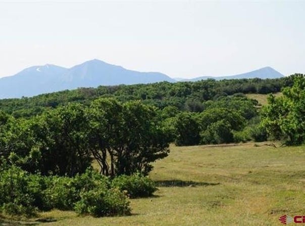 18965 Johnson Road, Paonia, CO 81428
