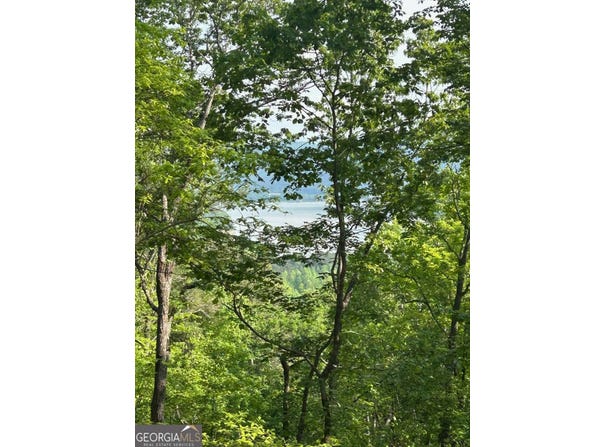 324 Adair, Ranger, GA 30734