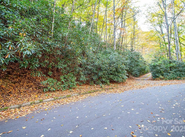 Stone Drive, Brevard, NC 28712