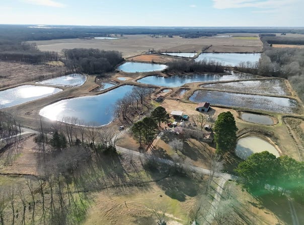 6076 Mertens Rd, Devalls Bluff, AR 72041