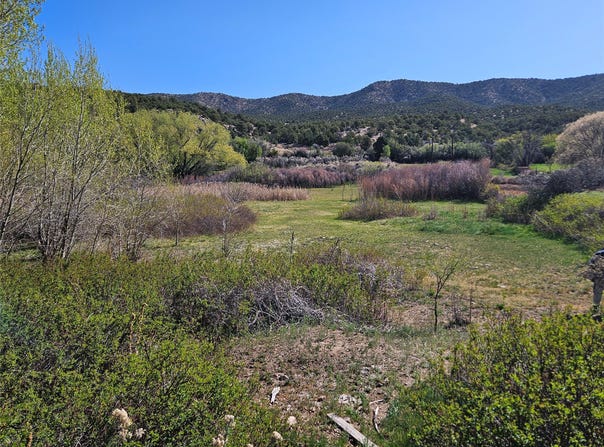 NM 503, Cundiyo, NM 87522