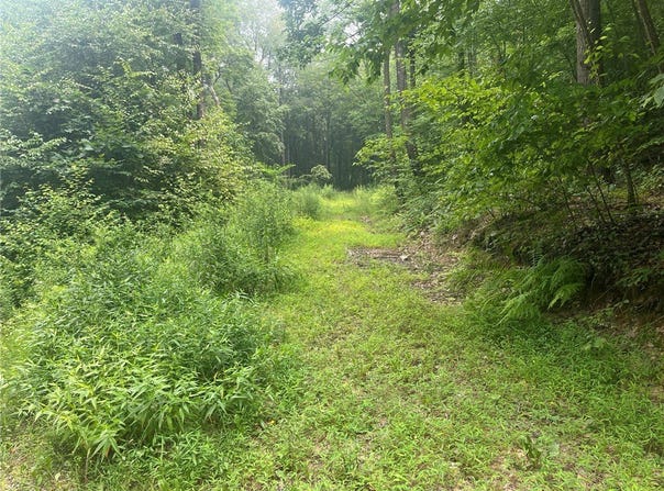 Camp Run Rd lot: 10, Donegal, PA 15628