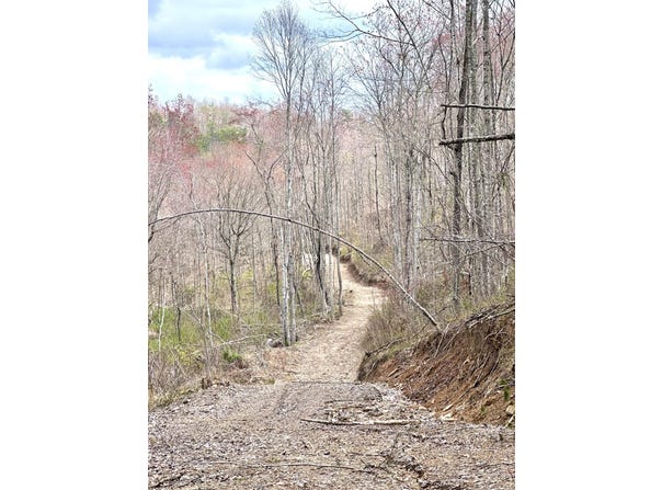 1105 Pendleton Branch Road, Salt Lick, KY 40371
