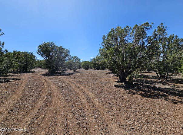 1259 Kb Ranch Road, Show Low, AZ 85901