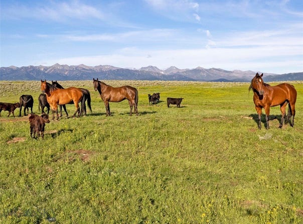 Elk Creek Road, Wilsall, MT 59086