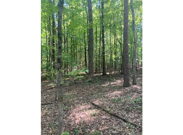 New Smith Rd, Abbeville, SC 29620