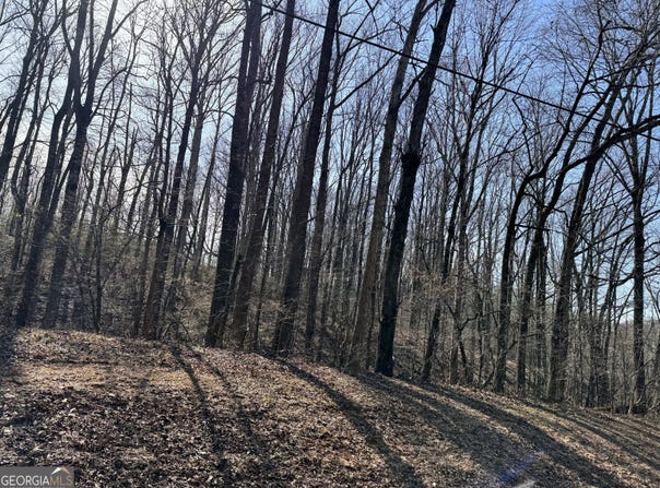 Wall Road, Winder, GA 30680