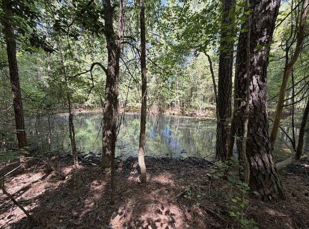 11317 Sapony Church Rd, Mckenney, VA 23872