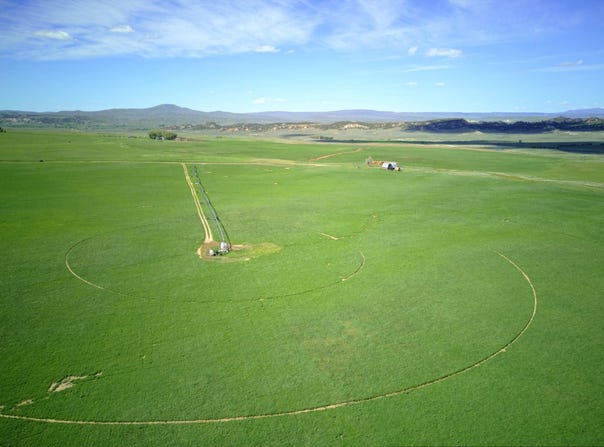 11388 CR 101, Craig, CO 81653