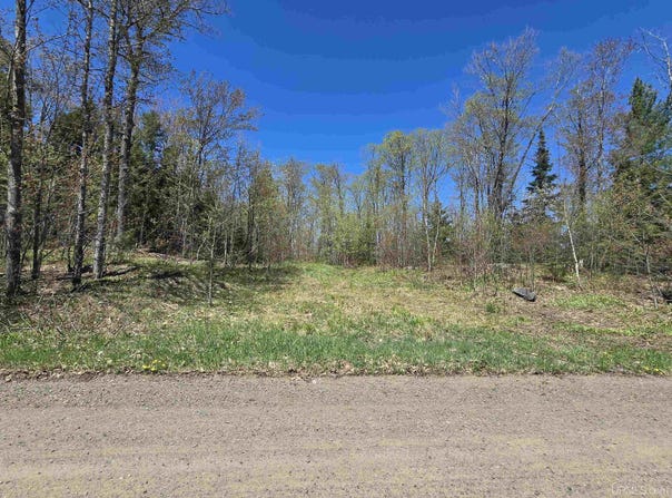 Murphy Road, Covington, MI 49919