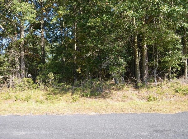 00 Mallett Road, Manning, SC 29102