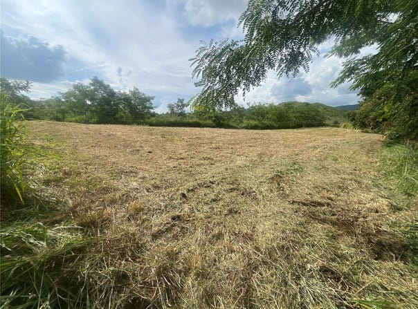 Km Hm 17.7 CARR 150, COAMO, 00769
