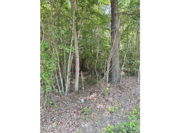 Lot 25 Buckhorn Church Road, Como, NC 27818
