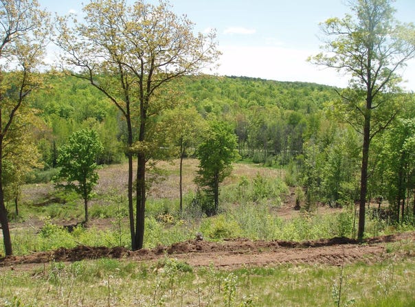 On HWY 169, Mellen, WI 54546