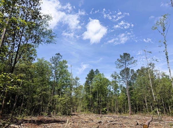 301C1, Brooklyn, MS 39425
