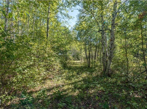 Tbd Tract D Little Pine Road, Brainerd, MN 56401