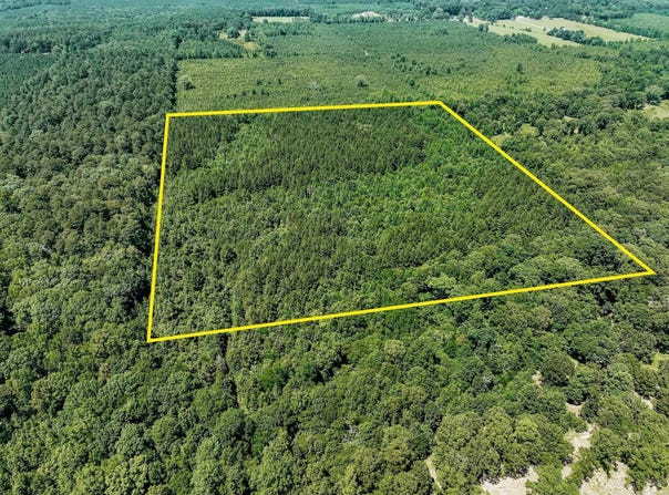 Monticello, AR 71655