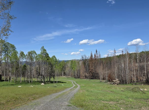 2433B WIDOW RD, COLVILLE, WA 99114