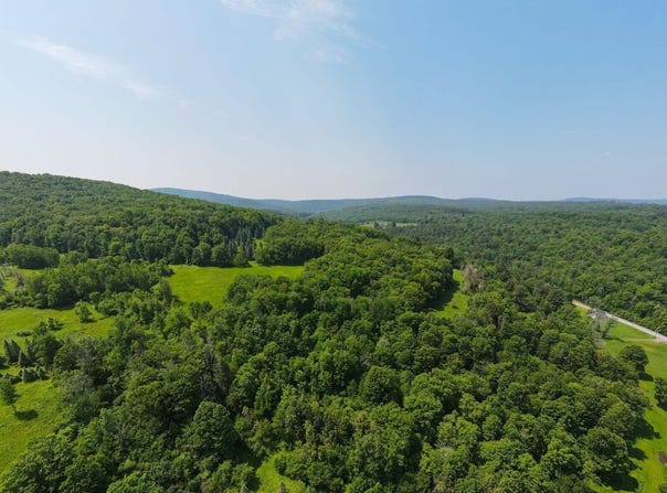1064 Pine Mill Road, Equinunk, PA 18417
