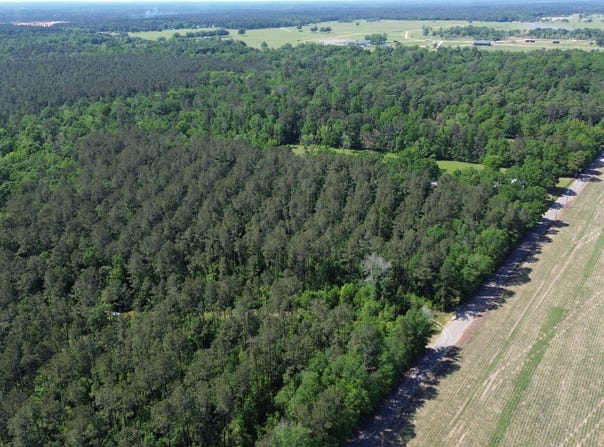 0 Sullivent Rd, Folsom, LA 70446