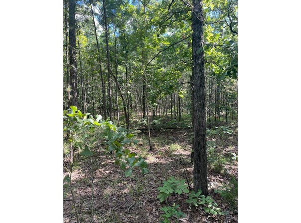 Tract 2 SE 1083 Road Ave., Red Oak, OK 74563