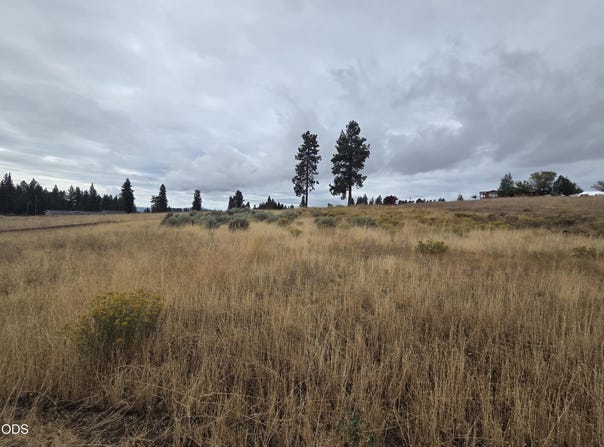 Cloutier Drive lot: 38, Chiloquin, OR 97624