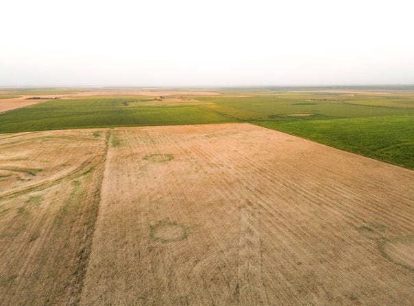 000 Country Rd 54-318 acres, Brewster, KS 67124
