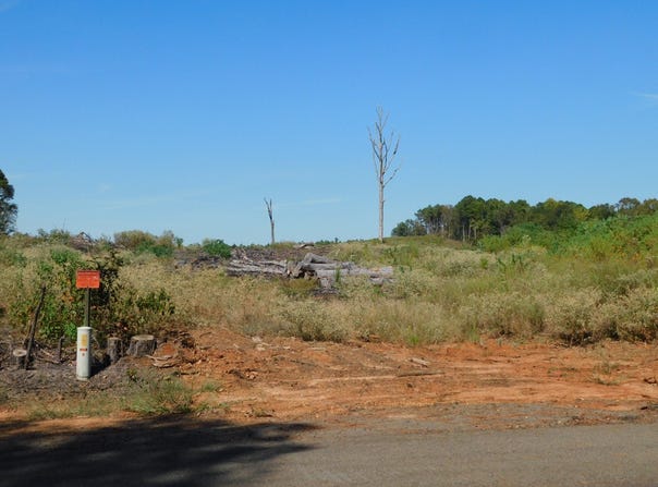 Jackie Byrd Road, Plain Dealing, LA 71064