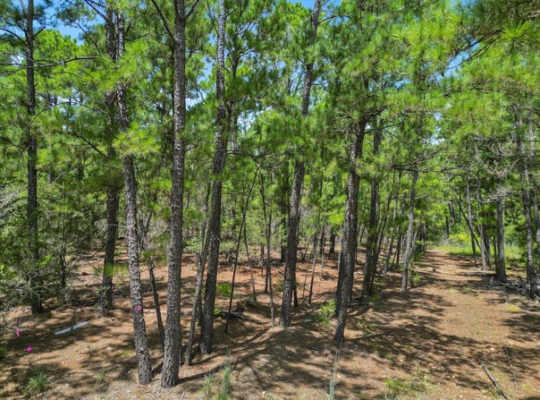 Lot 55 Akala LN, Bastrop, TX 78602