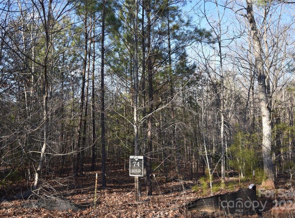 Tayberry Drive lot: 74, Nebo, NC 28761