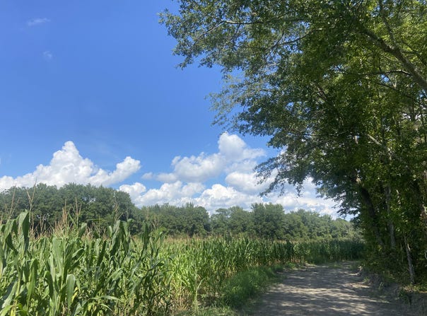 Muller Drive, Manning, SC 29102