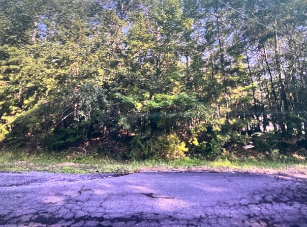 WOODLAND Cir, Jasper, AL 35504