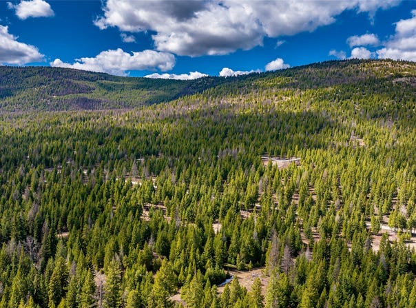 1583 Wild Bill Road lot: 4, Kila, MT 59920