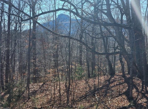 Golf Course Road, Pilot Mountain, NC 27041