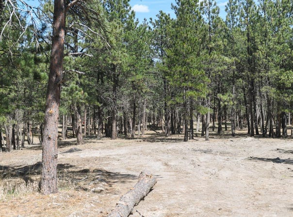 Lot L2, Belle Fourche, SD 57717