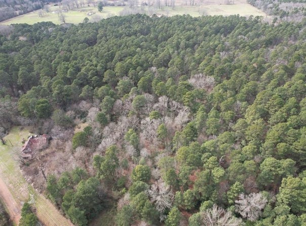 Tbd County Road 3156, Henderson, TX 75654