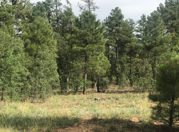 1751-1781 W Deuce Of Clubs, Show Low, AZ 85901