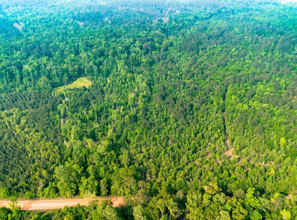 Fields Farm Road, Millen, GA 30442
