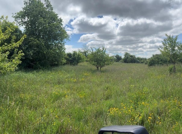 3745 Jackson Road, Blanchard, MI 49310