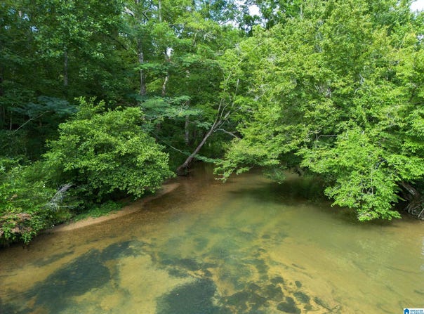 7286 CHERRY DRIVE, PINSON, AL 35126