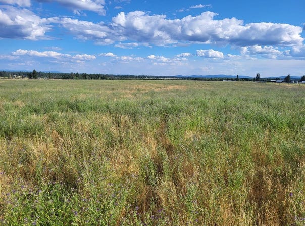 Mason Rd, Deer Park, WA 99006